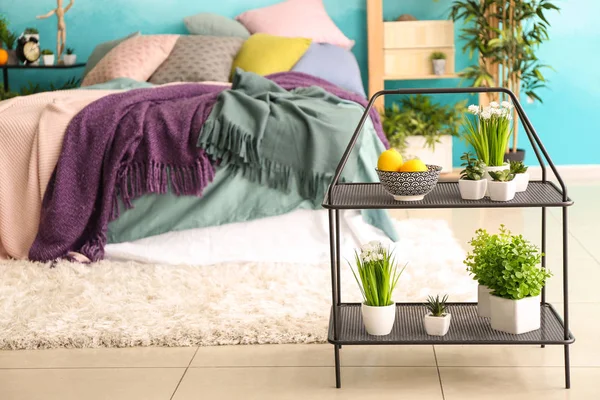 Stand Plants Stylish Bedroom — Stock Photo, Image
