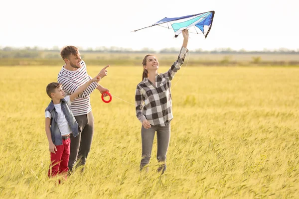 Família Feliz Voando Pipa Campo — Fotografia de Stock