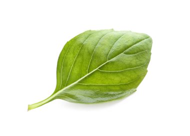 Beyaz zemin üzerine Yeşil taze fesleğen yaprağı