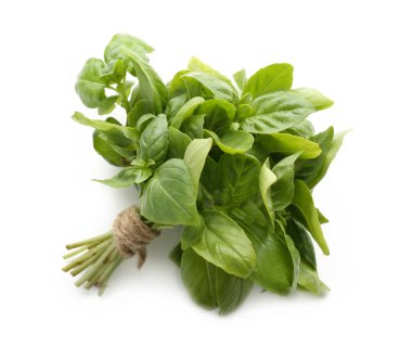 Beyaz zemin üzerine Yeşil taze fesleğen demet