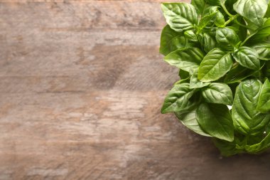 Ahşap arka planda taze yeşil fesleğen