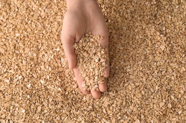 El ile yulaf ezmesi gevreği, portre