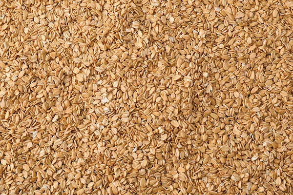 Raw Oatmeal Flakes Closeup — Stock Photo, Image