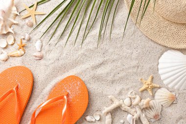 Plaj aksesuarları ve deniz kabukları kum üzerinde