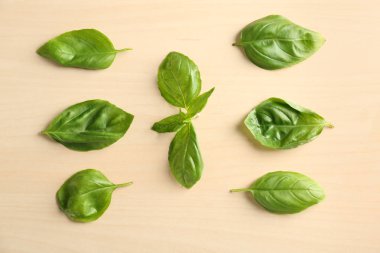 Hafif arkaplanda taze fesleğen yaprakları