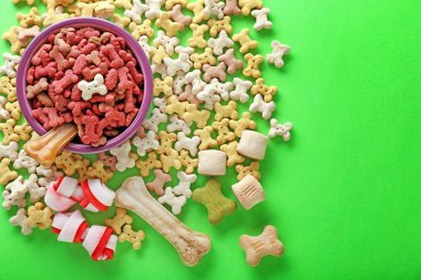 Renk arka plan üzerinde evde beslenen hayvan yiyecek ile kase