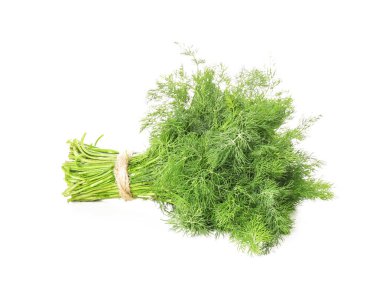 Beyaz arka planda bir sürü taze dereotu.