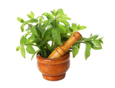 Taze nane ve beyaz arka plan üzerinde havaneli harç