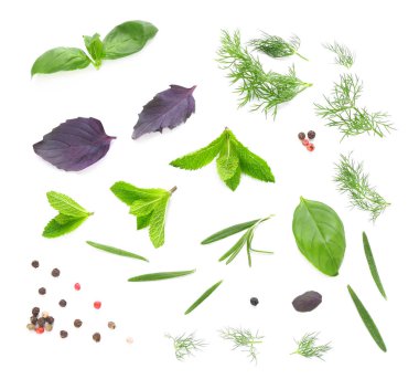 Beyaz arka plan üzerinde taze otlar ile kompozisyon