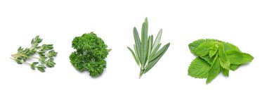 Beyaz arka plan üzerinde farklı bitkilerin yaprakları