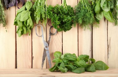 Demet ahşap arka plan üzerinde farklı otlar