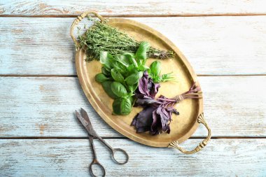 Farklı taze otlar ve makaslar ahşap arka plan kompozisyonu