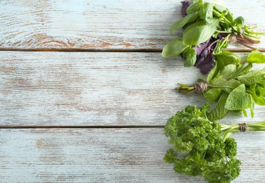 Ahşap arka plan üzerinde farklı taze otlar