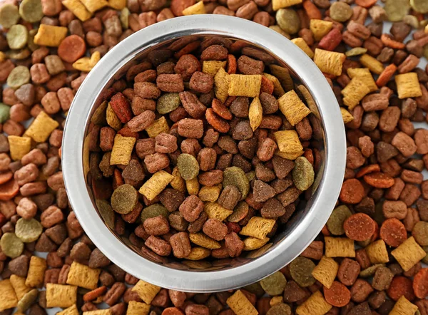 Bowl Pet Food Top View — Stock Photo, Image