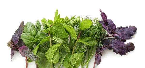 Herbes Fraîches Sur Fond Blanc — Photo