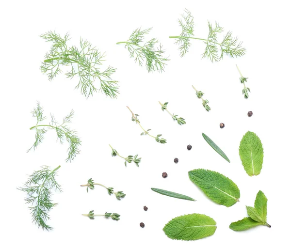 Composition Leaves Different Herbs White Background — Stock Photo, Image