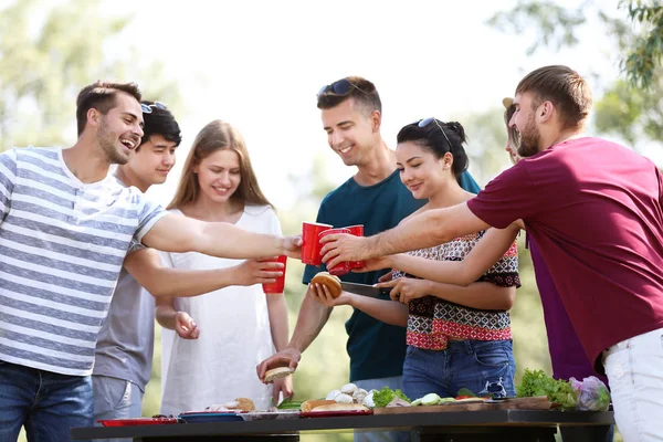 Young People Having Barbecue Party Park — Stock Photo, Image