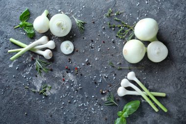 Gri dokulu arka plan üzerinde baharatlar ile taze soğan