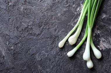 Gri dokulu arka plan üzerinde taze yeşil soğan