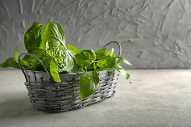 Tablo Taze Fesleğenli sepeti