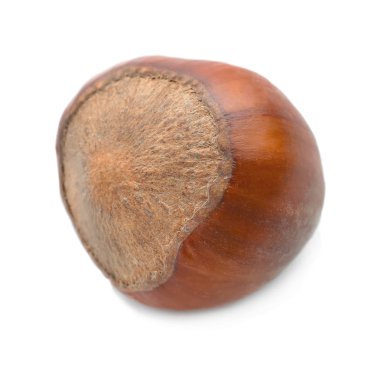 Beyaz arka plan üzerinde soyulmamış fındık