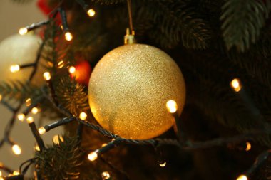 Parlayan ışıklar ve köknar ağacı Noel topu