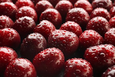 Damla su, closeup ile lezzetli kiraz