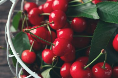 Taze olgun kiraz, portre