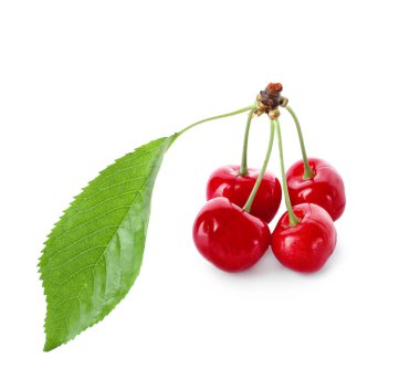 beyaz zemin üzerinde olgunlaşmış kiraz