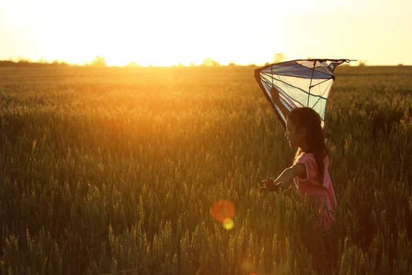 Menina Bonito Com Pipa Campo — Fotografia de Stock