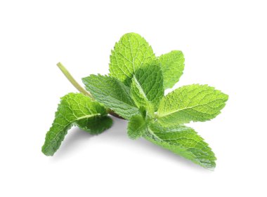 Beyaz arkaplanda taze yeşil nane