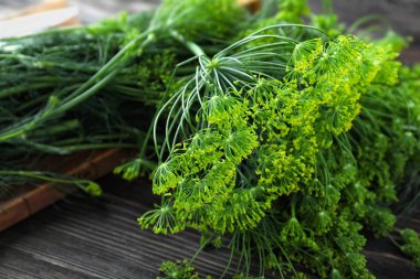 Ahşap masa, closeup üzerinde taze dereotu