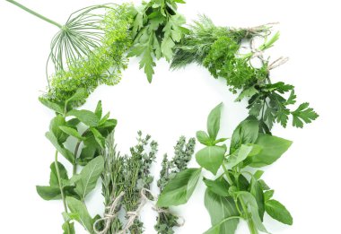 Frame made of fresh herbs on white background clipart
