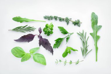 Beyaz arka plan üzerinde farklı taze otlar