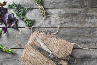 Ahşap arka plan üzerinde taze otlar makasla