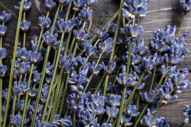 Lavanta üzerinde ahşap masa, closeup demet