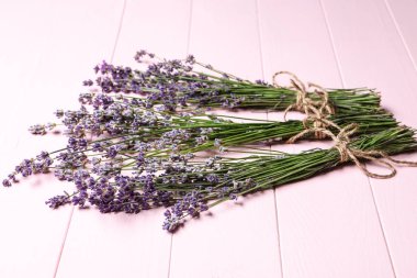Demet lavanta renkli arka plan üzerinde