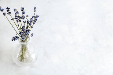 Vazo ile masa lambası üzerinde güzel lavanta