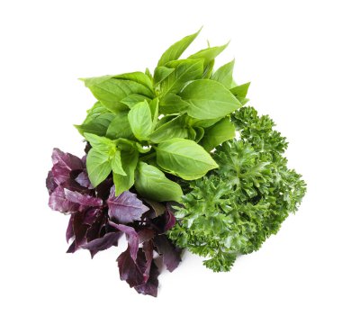 Beyaz arka plan üzerinde farklı taze otlar