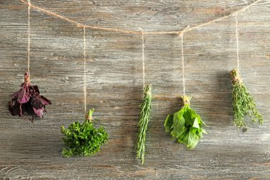 Dize ahşap arka plan asılı farklı taze otlar