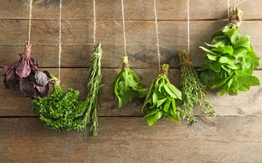 Dize ahşap arka plan asılı farklı taze otlar