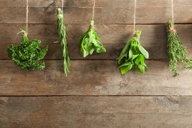 Dize ahşap arka plan asılı farklı taze otlar