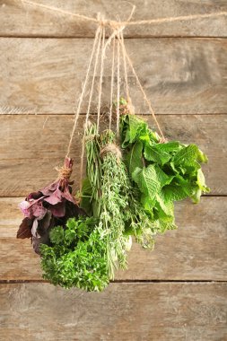 Dize ahşap arka plan asılı farklı taze otlar