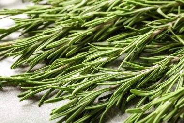 Tablo, closeup taze biberiye