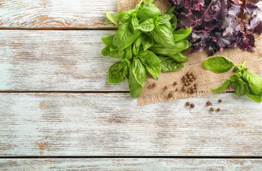 Yenibahar ahşap arka plan üzerinde ile taze fesleğen