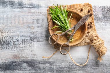 Kase taze biberiye ve ahşap arka plan için makaslar