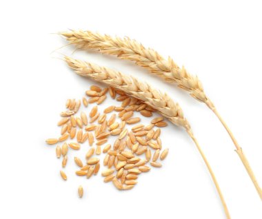 Buğday taneleri ile spikelets beyaz arka plan üzerinde