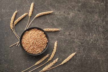 Buğday taneleri ve gri arka plan üzerinde spikelets ile kase