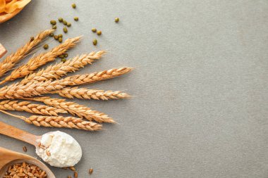 Kaşık un, tahıl ve gri arka plan üzerinde spikelets