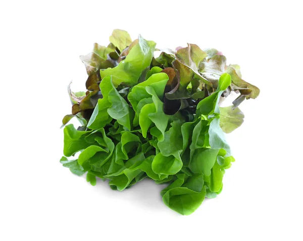 Friss Zöld Saláta Fehér Háttér — Stock Fotó